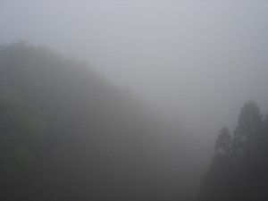 何も見えない