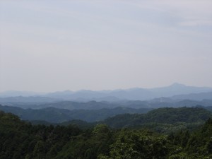 見晴らしもいい