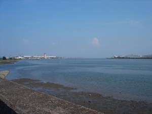 河口 河口