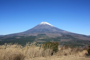 笹峰より 笹峰より