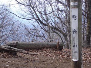 惣岳山