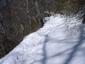 雪出現 雪出現