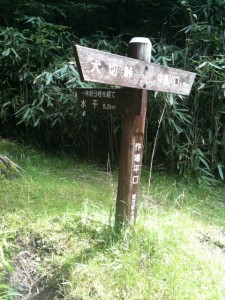 登山口
