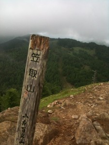 ニセ笠取山山頂