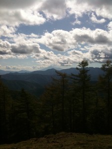 富士山 from 雲取山