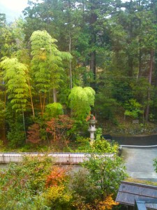 紅葉はまだ 紅葉はまだ