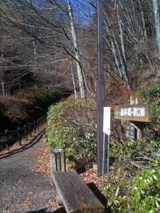 都民の森登山口
