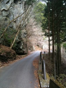 舗装された道