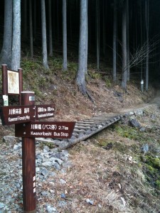 ここから登山道に
