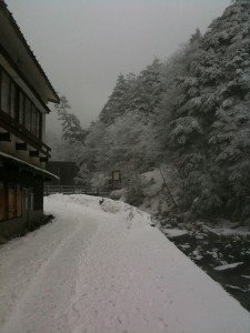 渋ノ湯