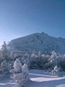 樹氷