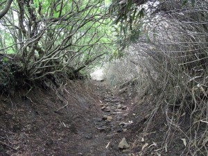 トンネル
