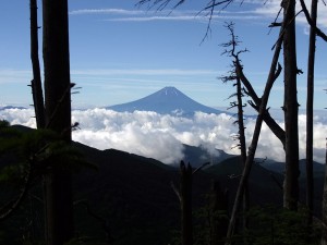 富士山